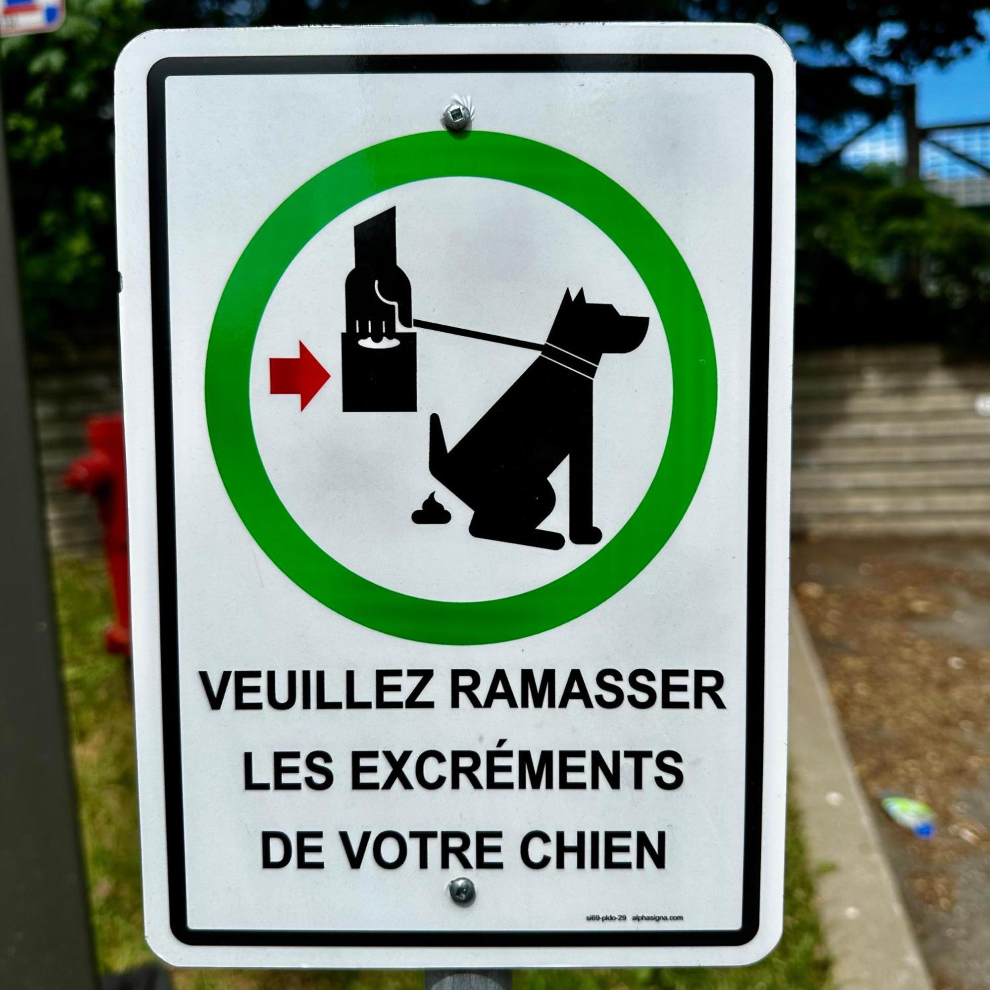 Initial - Moose - Chutes-Montmorency Saint-Jean-de-Boischâtel エクステリア 写真